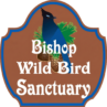 bishop wild bird background remove